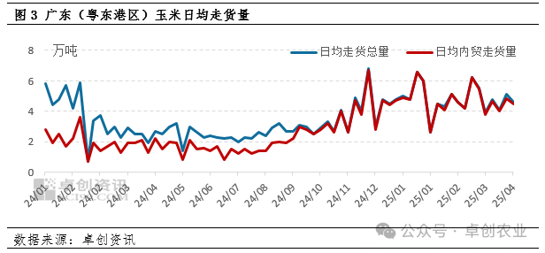 广东玉米日走货量