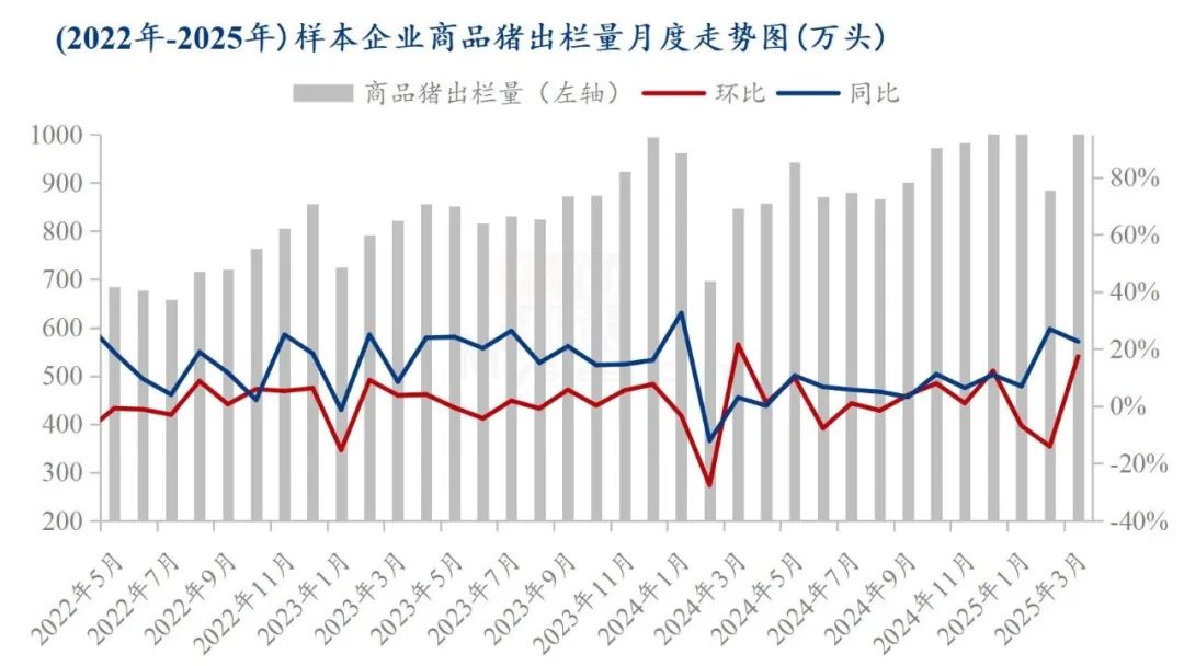 商品猪出栏情况分析