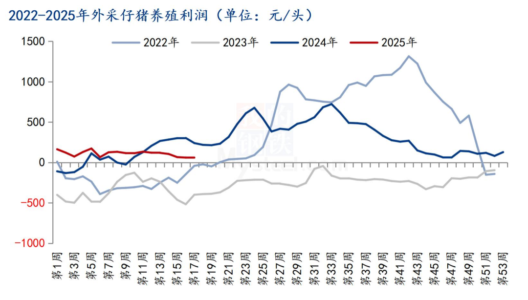 外采仔猪养殖利润