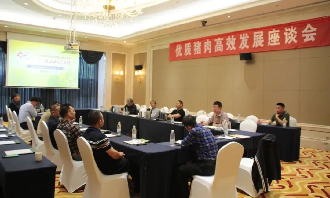 优质猪肉高效发展座谈会