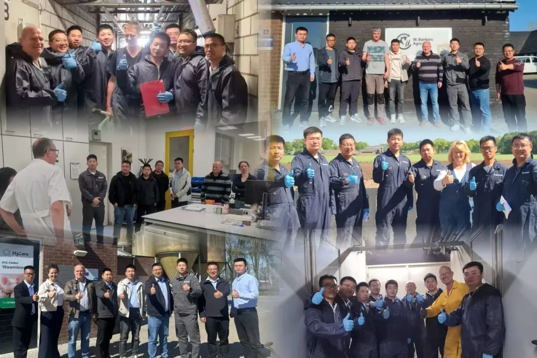 荷兰游学