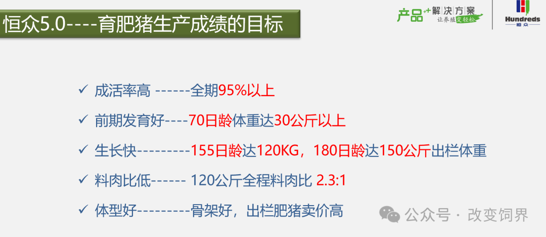 恒众5.0