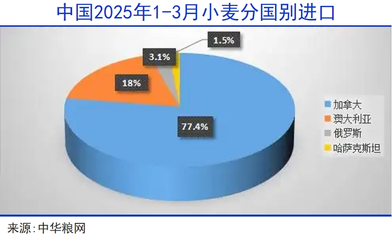 小麦进口