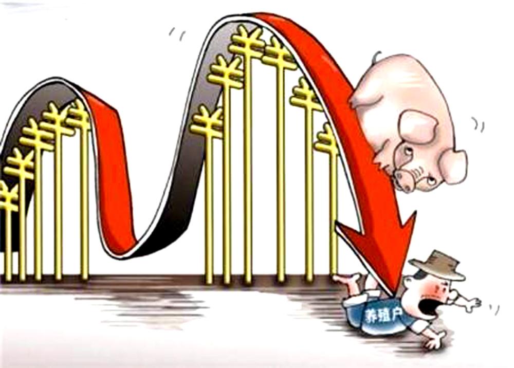 生猪行情