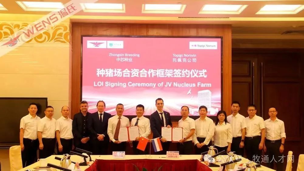 国资再出手！又一头部猪企重整开新篇！国家队如何化身猪企的“诺亚方舟”？