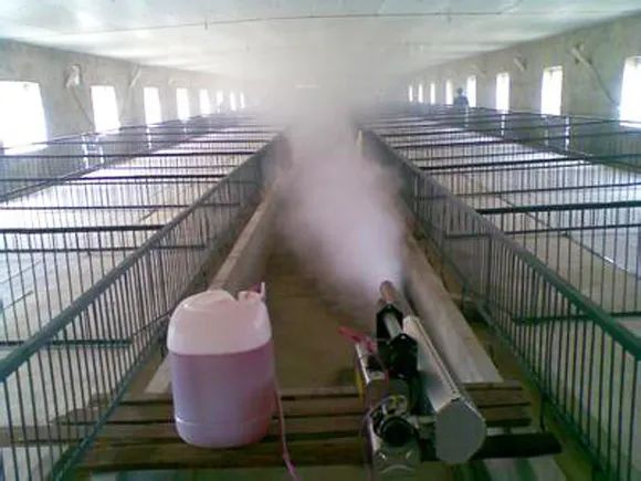 猪场消毒常进行，可这“两个地方”若没做好，消毒全白搭！