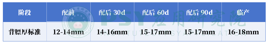 推荐母猪各阶段的背膘厚标准