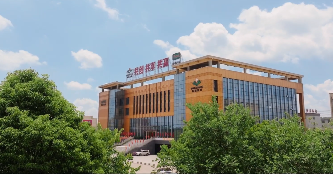 扬翔股份