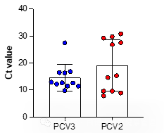 流产胎儿组织PCV2和PCV3的Ct值