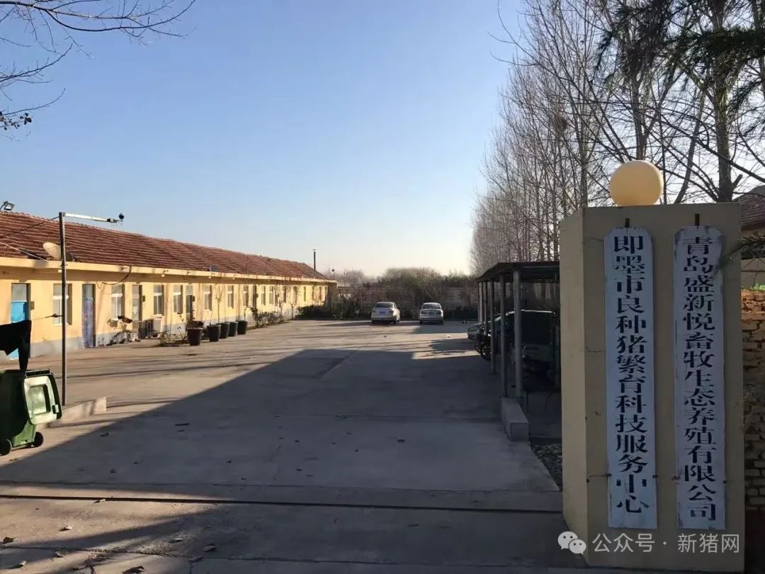 即墨市良种猪繁育科技服务中心