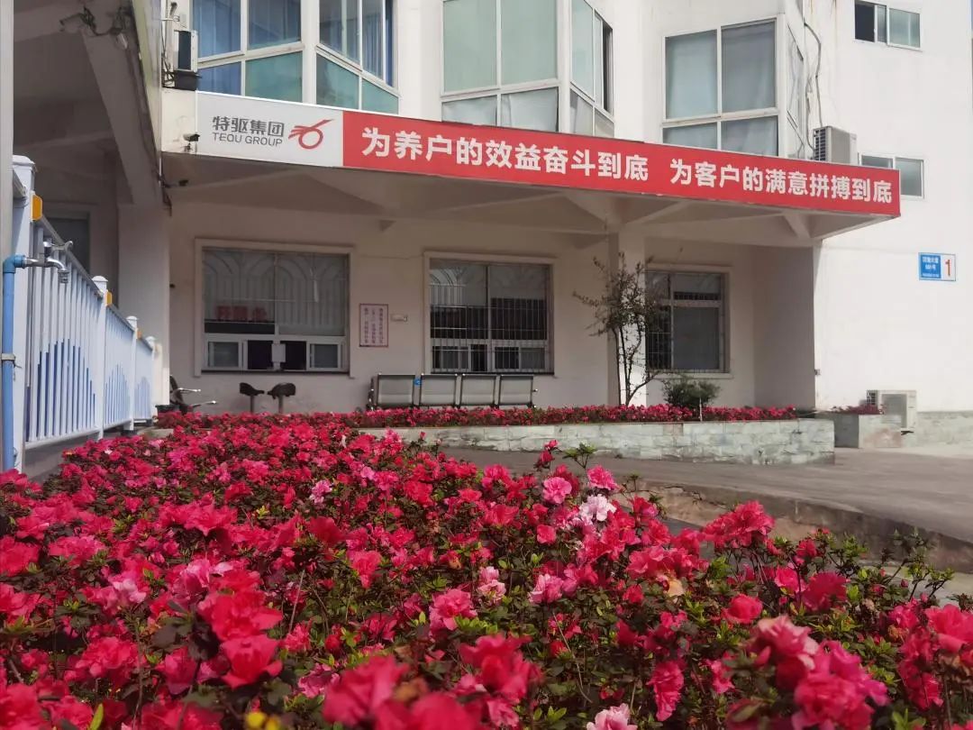 特驱农牧“双美评选”揭榜，“最美”究竟有多美？饲料工厂到底长啥样？
