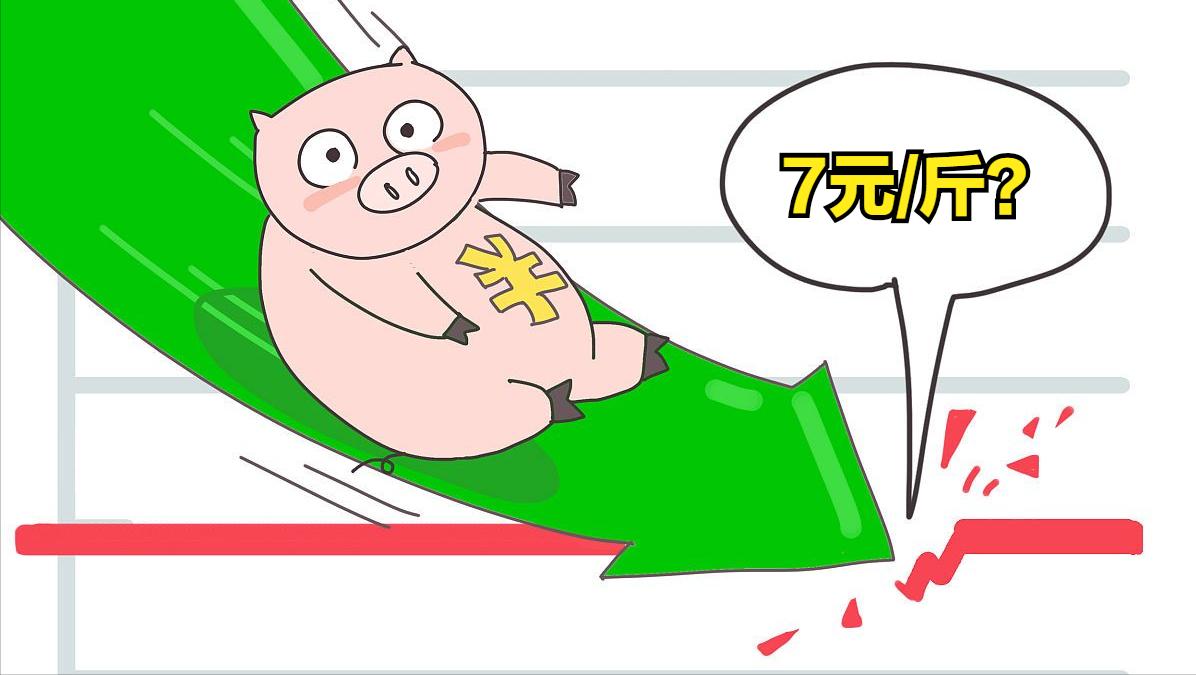 跌了，跌了！猪价“下行通道”开启？