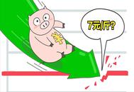 跌了，跌了！猪价“下行通道”开启？
