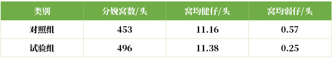 两组母猪繁殖成绩统计情况