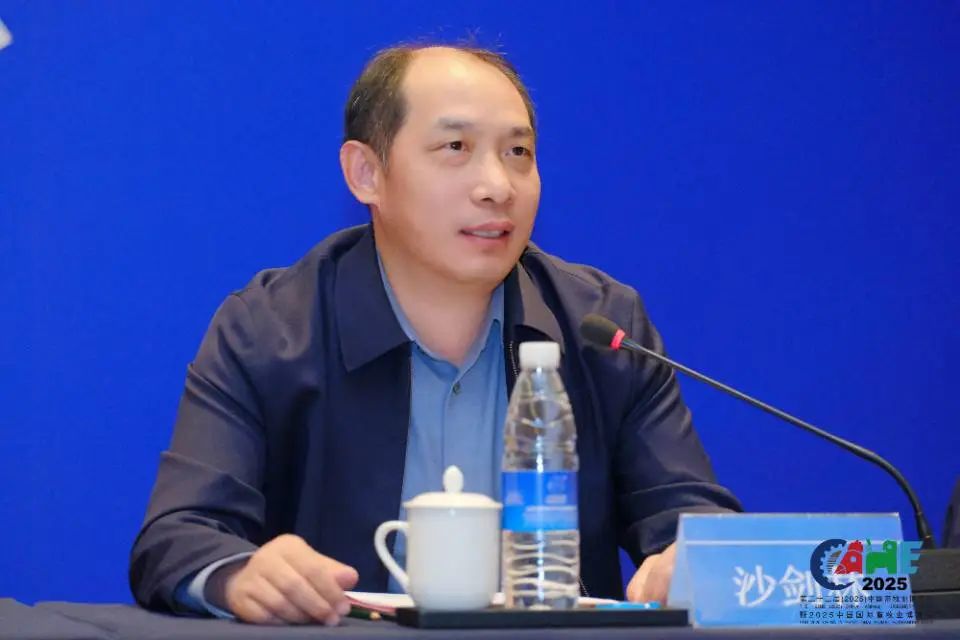 沙剑林