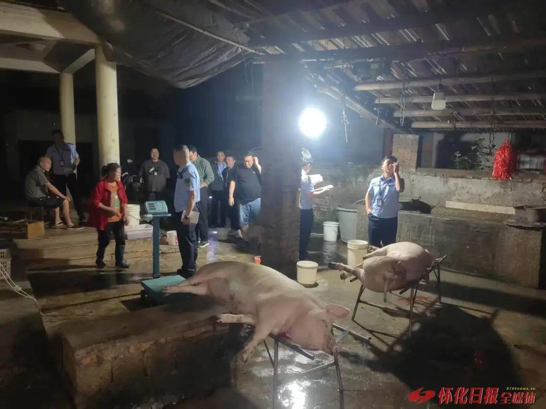夜袭私屠窝点！私屠滥宰窝点被端，6头生猪当场查获