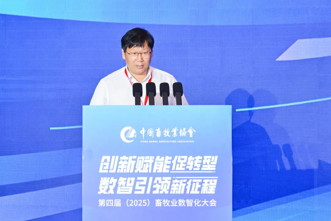 刘强德