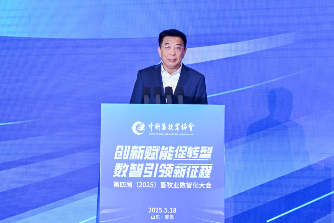 李新