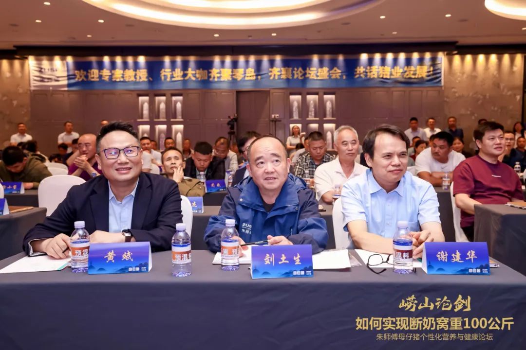 如何实现断奶窝重100公斤
