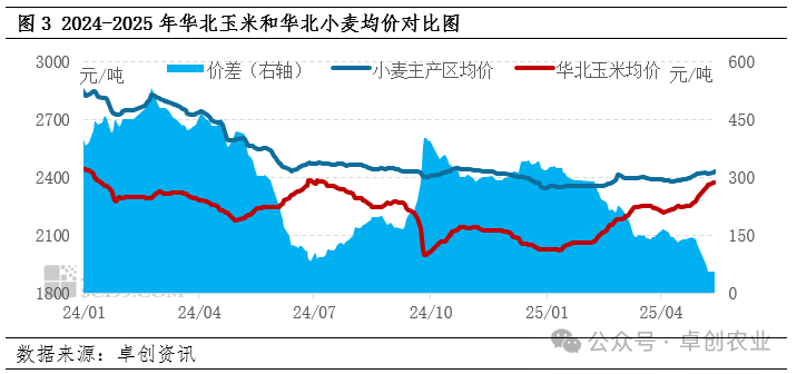 玉米行情