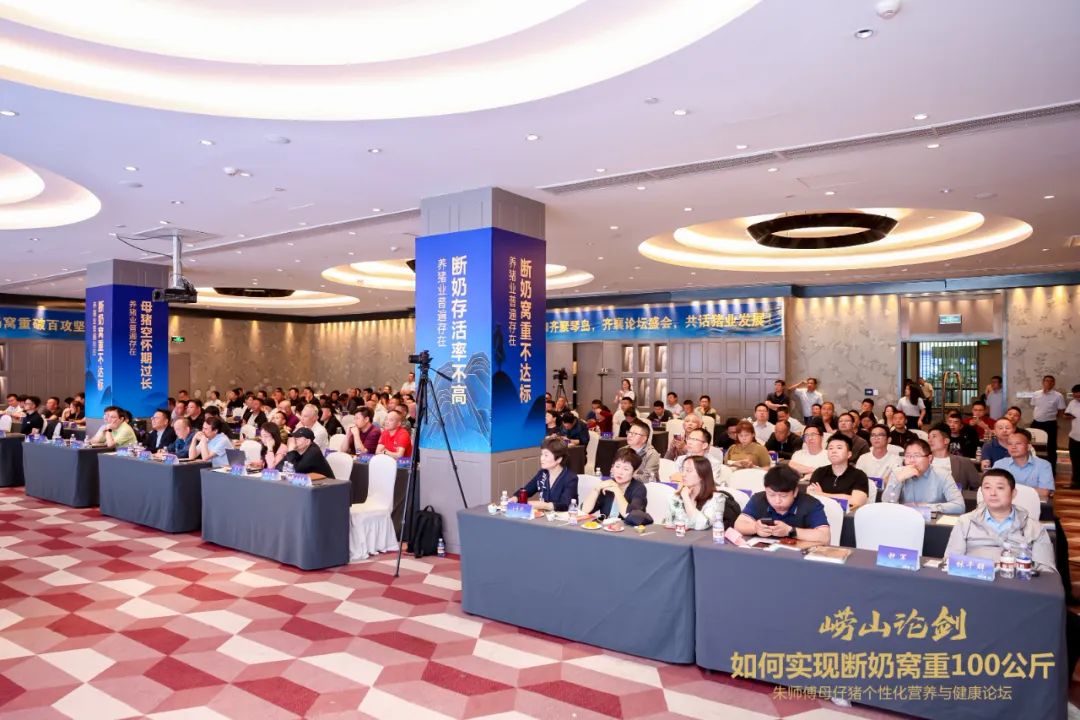 如何实现断奶窝重100公斤