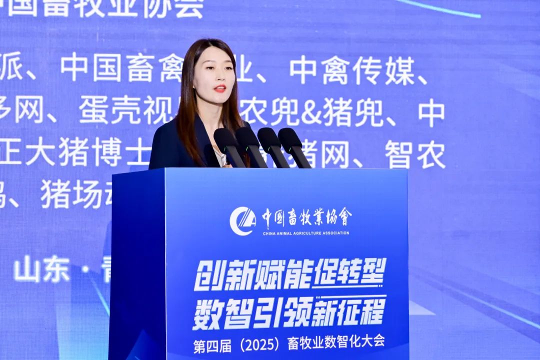 陈晓宇