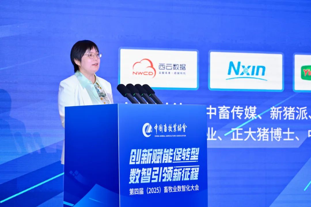 左玲玲