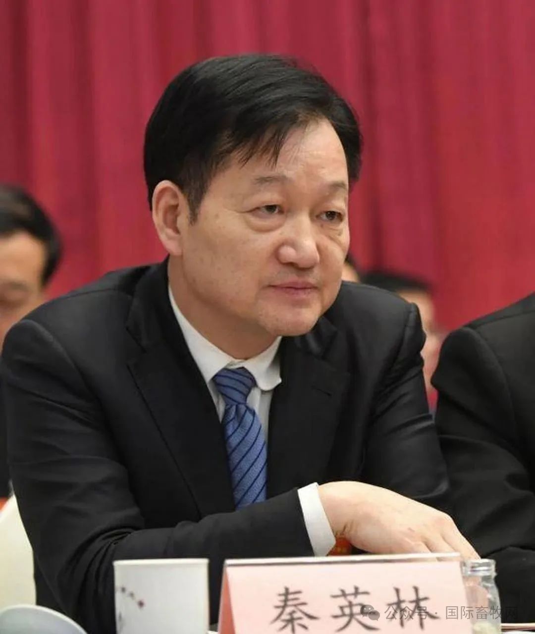 秦英林