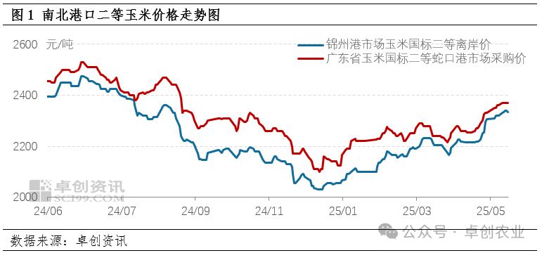 玉米行情