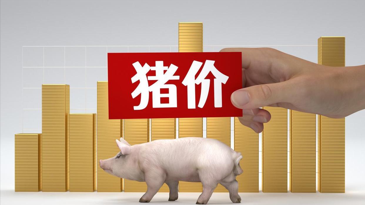 生猪行情