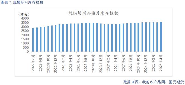 商品猪月度存栏