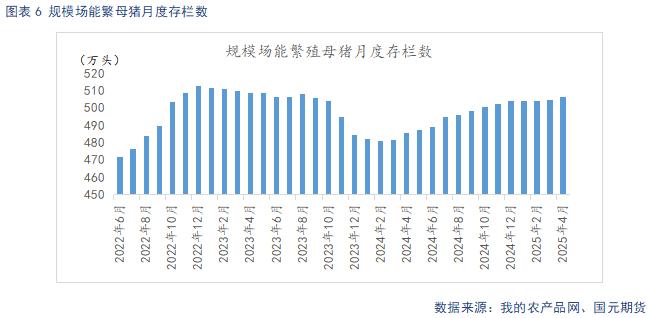 母猪存栏