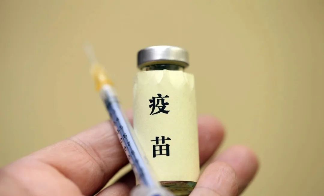 母猪怀孕前后到底该怎么打疫苗？你真的清楚吗？