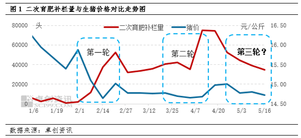 二次育肥谨慎入场，养殖端减重出栏！6月猪价走向何方？