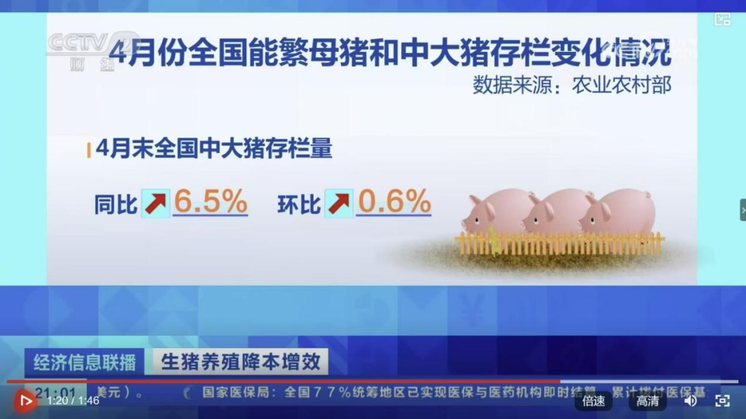多家集团猪企被要求停售二育！5省严查生猪调运！会带动猪价吗？
