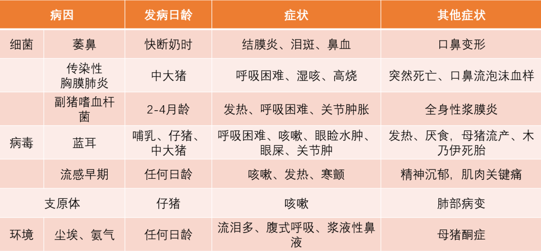 猪呼吸道综合征如何防控？应该重点防控哪些病原？