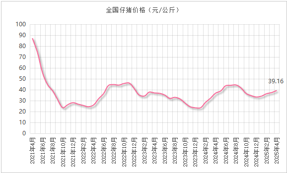 仔猪行情
