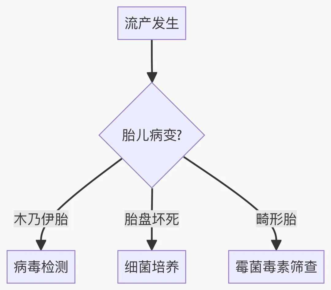 诊断流程
