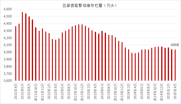 2025年4月生猪产品数据：4月末能繁母猪存栏4038万头，同比增长1.3%