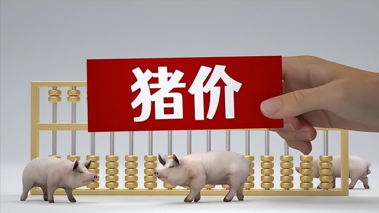 生猪行情