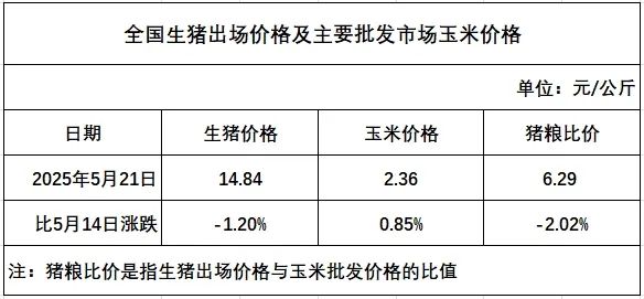 临近月末，养殖端出栏积极性不减，端午节短时提振但力度有限，预计生猪周均价或环比下滑，养殖预期利润或减少——发改委发布2025年5月第3周全国猪粮比及猪价分析预测