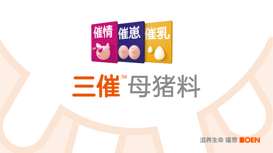 播恩“三催”母猪料：开启母猪营养新篇章，助力高效生猪养殖