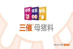 播恩“三催”母猪料：开启母猪营养新篇章，助力高效生猪养殖