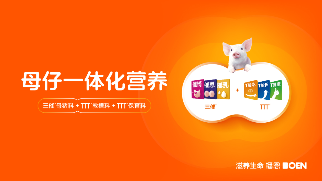 母仔一体化营养