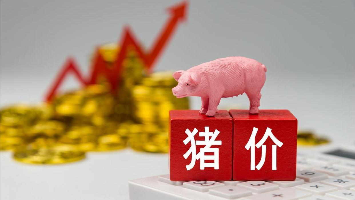 生猪行情