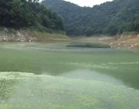顶风作案！湖南近20家、辽宁117 家养殖场被查，环保风暴席卷全国！