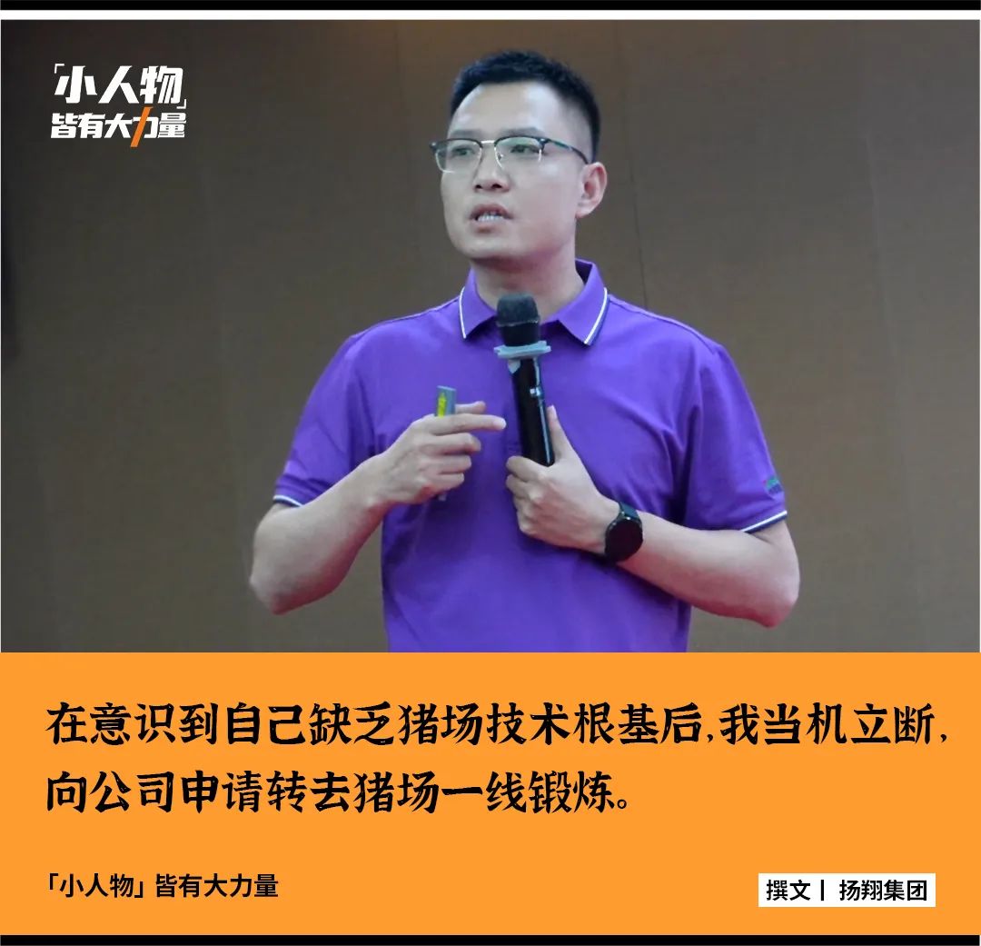 全国巡回教养猪，扬翔技术服务老师有啥绝招？猪场受胎率升至94%