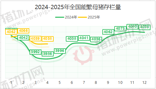 母猪存栏