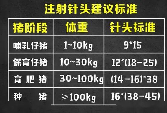 怎么给猪打针？附详细操作步骤来了