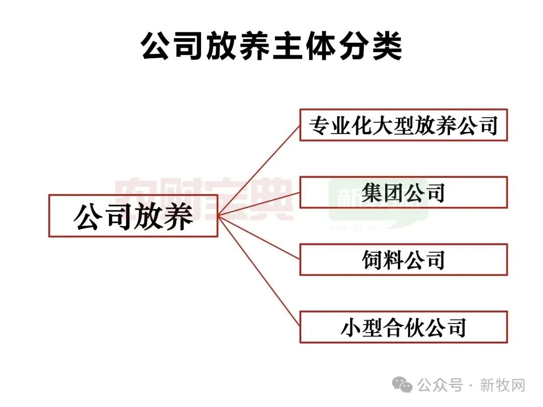 山东放养模式火热！新形势下放养热或席卷全国？
